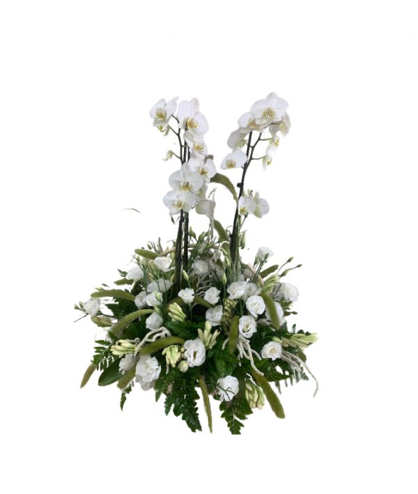 Rosh Hashsana flower arrangement giant orchids