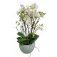 Rosh Hashsana flower arrangement orchid in pot